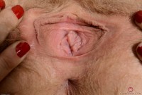 ATK hairy Vestacia JonQuil Set