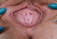 ATK hairy Vestacia JonQuil Set