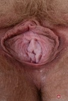 ATK hairy Vestacia JonQuil Set