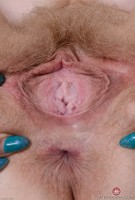 ATK hairy Vestacia JonQuil in young and hairy