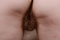 ATK hairy Vestacia JonQuil in young and hairy