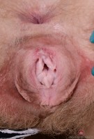 ATK hairy Vestacia JonQuil in young and hairy