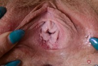 ATK hairy Vestacia JonQuil in young and hairy