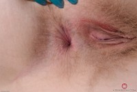 ATK hairy Vestacia JonQuil in young and hairy