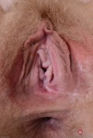 ATK hairy Vestacia JonQuil Set