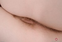 ATK hairy Vestacia JonQuil in young and hairy