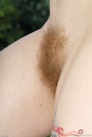 ATK hairy Vestacia JonQuil in mature and hairy