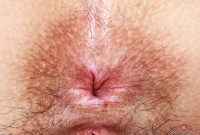 ATK hairy Violet Viper Set