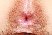 ATK hairy Violet Viper Set