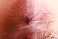 ATK hairy Violet Viper Set