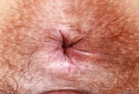 ATK hairy Violet Viper Set