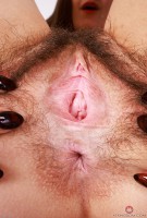 ATK hairy  in young and hairy