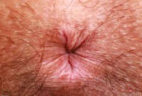 ATK hairy Violet Viper Set