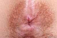 ATK hairy Violet Viper Set