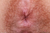 ATK hairy Violet Viper Set