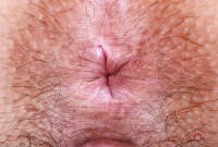 ATK hairy Violet Viper Set