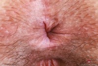 ATK hairy Violet Viper Set