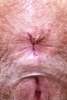 ATK hairy Violet Viper Set