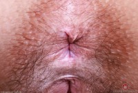 ATK hairy Violet Viper Set