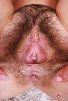 ATK hairy Violet Viper Set