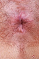 ATK hairy Violet Viper Set