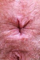 ATK hairy Violet Viper Set