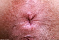 ATK hairy Violet Viper Set