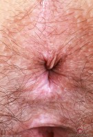 ATK hairy Violet Viper in young and hairy