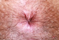 ATK hairy Violet Viper in young and hairy