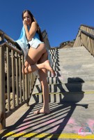 ATK hairy Violet Viper Set