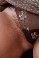 ATK hairy Wildrossy Set