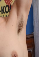ATK hairy Willow Hayes Set