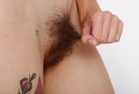 ATK hairy Willow Hayes Set