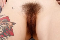 ATK hairy Willow Hayes Set