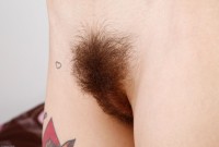 ATK hairy Willow Hayes Set