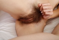 ATK hairy Willow Hayes Set