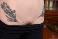 ATK hairy Willow Amore Set