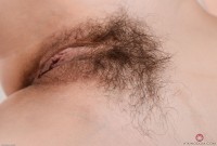 ATK hairy Willow Amore Set