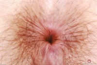 ATK hairy Wookie Princess Set