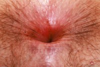 ATK hairy Wookie Princess Set