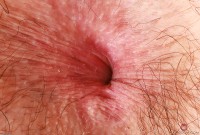 ATK hairy Wookie Princess in young and hairy