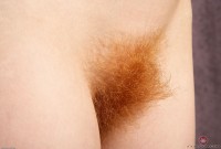 ATK hairy Zia Set