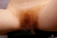 ATK hairy Zia Set