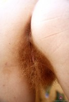 ATK hairy Zia Set