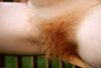 ATK hairy Zia Set