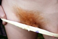 ATK hairy Zia Set