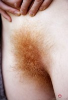 ATK hairy Zia Set
