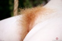 ATK hairy  in mature and hairy