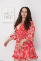 ATK hairy Ziggy Star Set