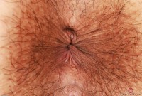 ATK hairy Zoey Jpeg Set